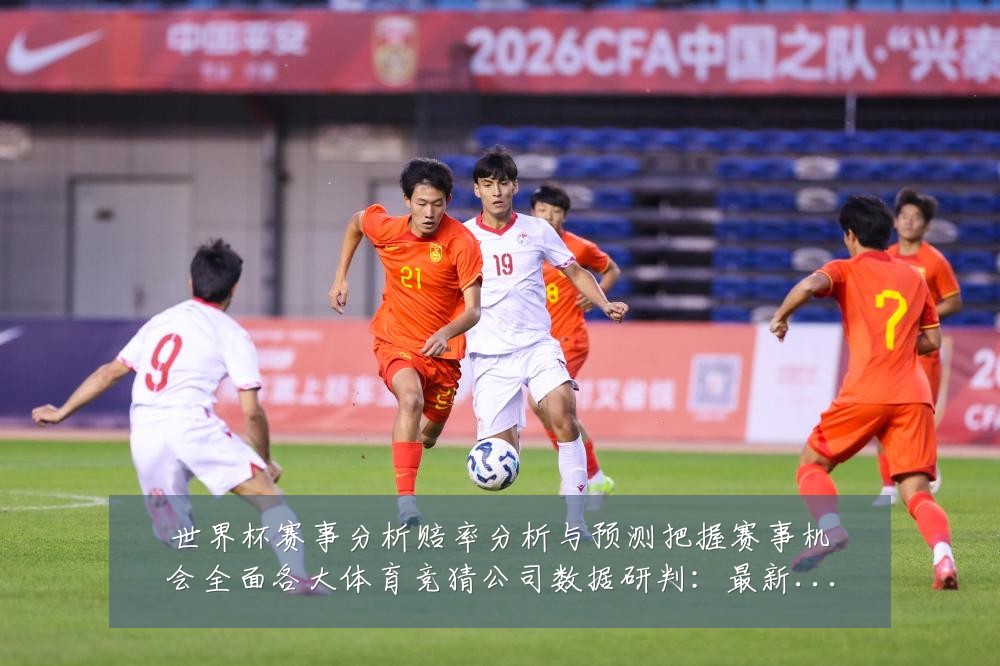 世界杯赛事分析赔率分析与预测把握赛事机会全面各大体育竞猜公司数据研判:最新赛事动态与深度分析